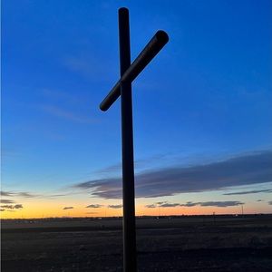 Meet your Posher, Riley